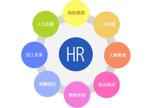行政管理、人力資源管理、工商企業管理 企業管理三大領域的比較與選擇
