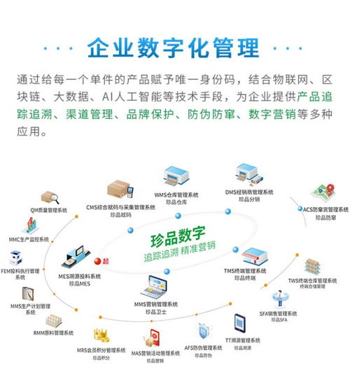 賦能管理，驅動未來 珍品數字發布全新企業數字化解決方案與數據處理服務