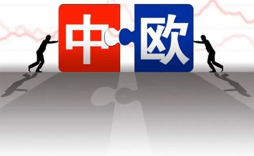 多國(guó)勸阻難擋歐盟決定，對(duì)華加征關(guān)稅引發(fā)連鎖反應(yīng)，中方24小時(shí)內(nèi)強(qiáng)硬回應(yīng)彰顯技術(shù)推廣信心